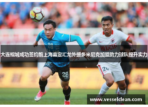 大连鲲城成功签约前上海嘉定汇龙外援多米尼克加盟助力球队提升实力