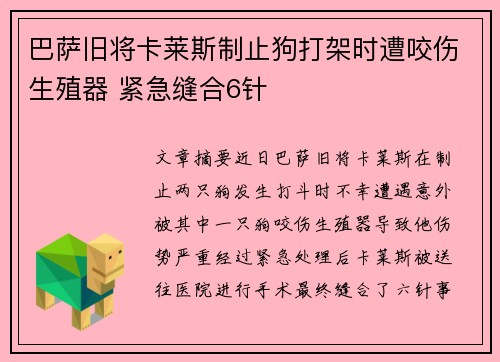巴萨旧将卡莱斯制止狗打架时遭咬伤生殖器 紧急缝合6针 巴萨旧将卡莱斯制止狗打架时遭咬伤生殖器 紧急缝合6针